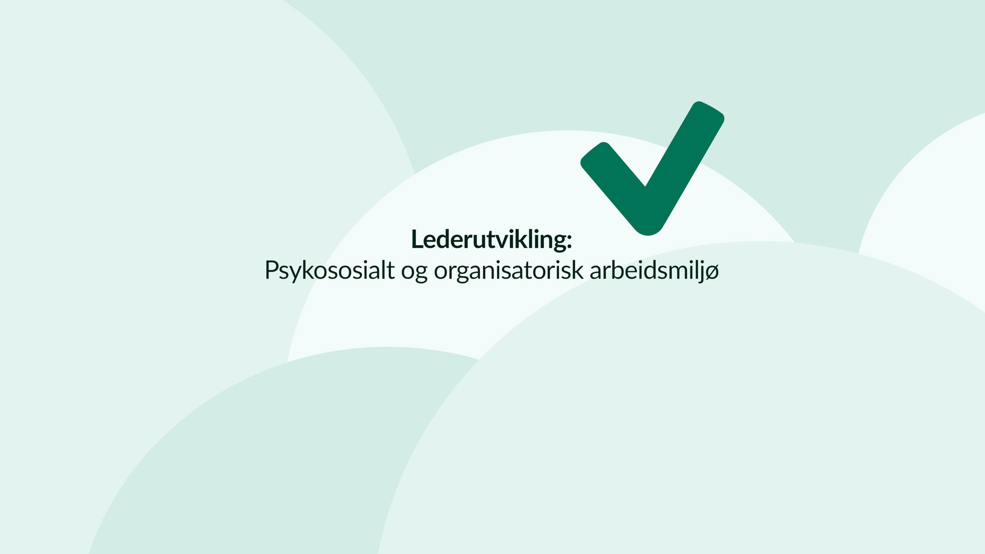 Skjermbilde fra kurset
