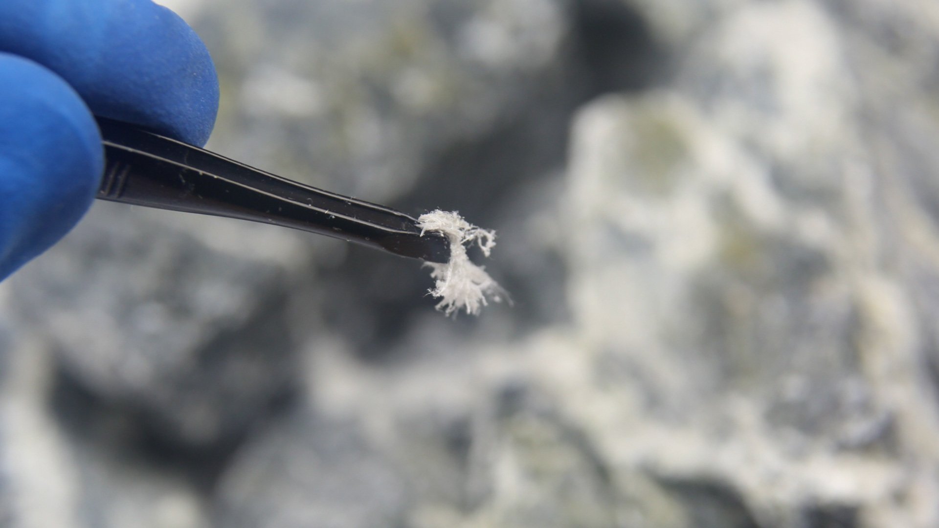 Skjermbilde fra kurset