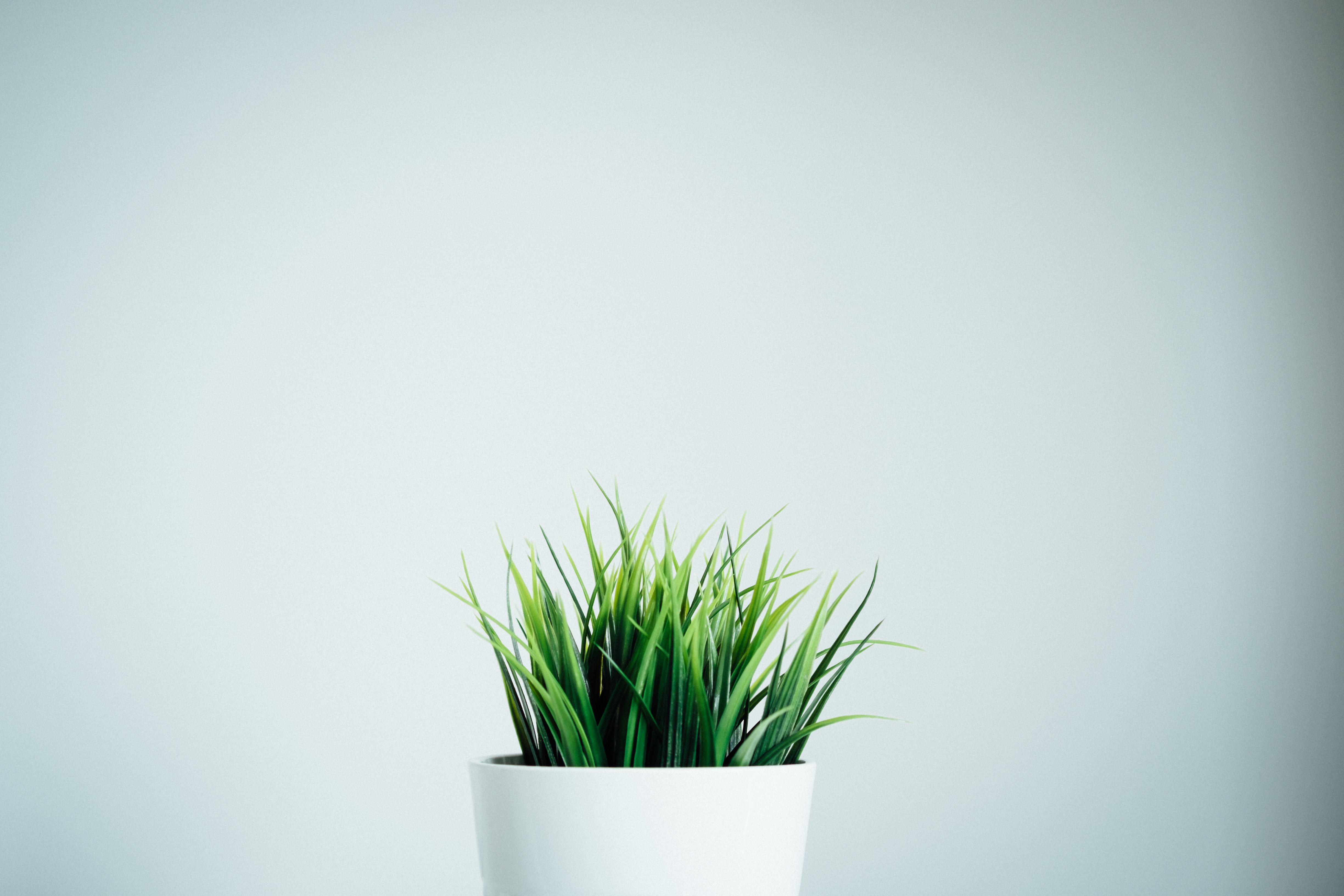dose-media-424261-unsplash.jpg